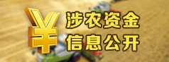 涉農(nóng)資金信息公開